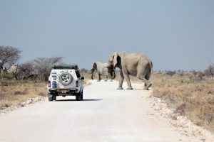 3-Days-Namibia-Wildlife-Safari-to-Etosha-National-Park