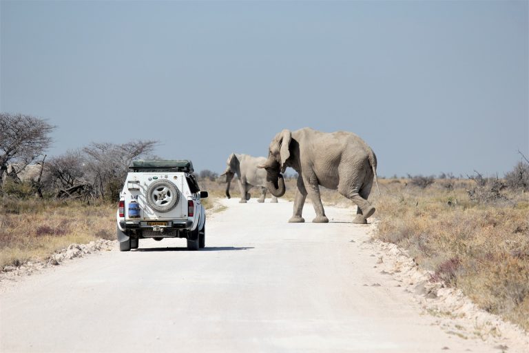 3-Days-Namibia-Wildlife-Safari-to-Etosha-National-Park