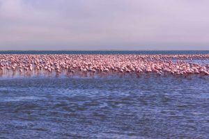 Depositphotos_288926580_xl-2015-scaled-1920x1280