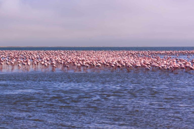 Depositphotos_288926580_xl-2015-scaled-1920x1280